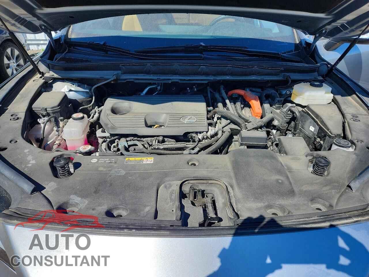 LEXUS RX350H 2023 - 2T2BBMCA4PC014039