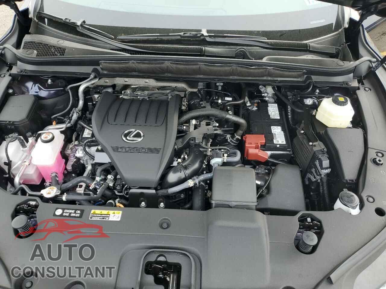 LEXUS RX350 2024 - 2T2BAMCA4RC054806