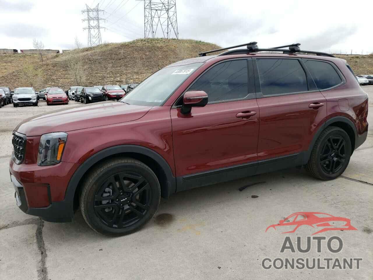 KIA TELLURIDE 2024 - 5XYP5DGC9RG455783