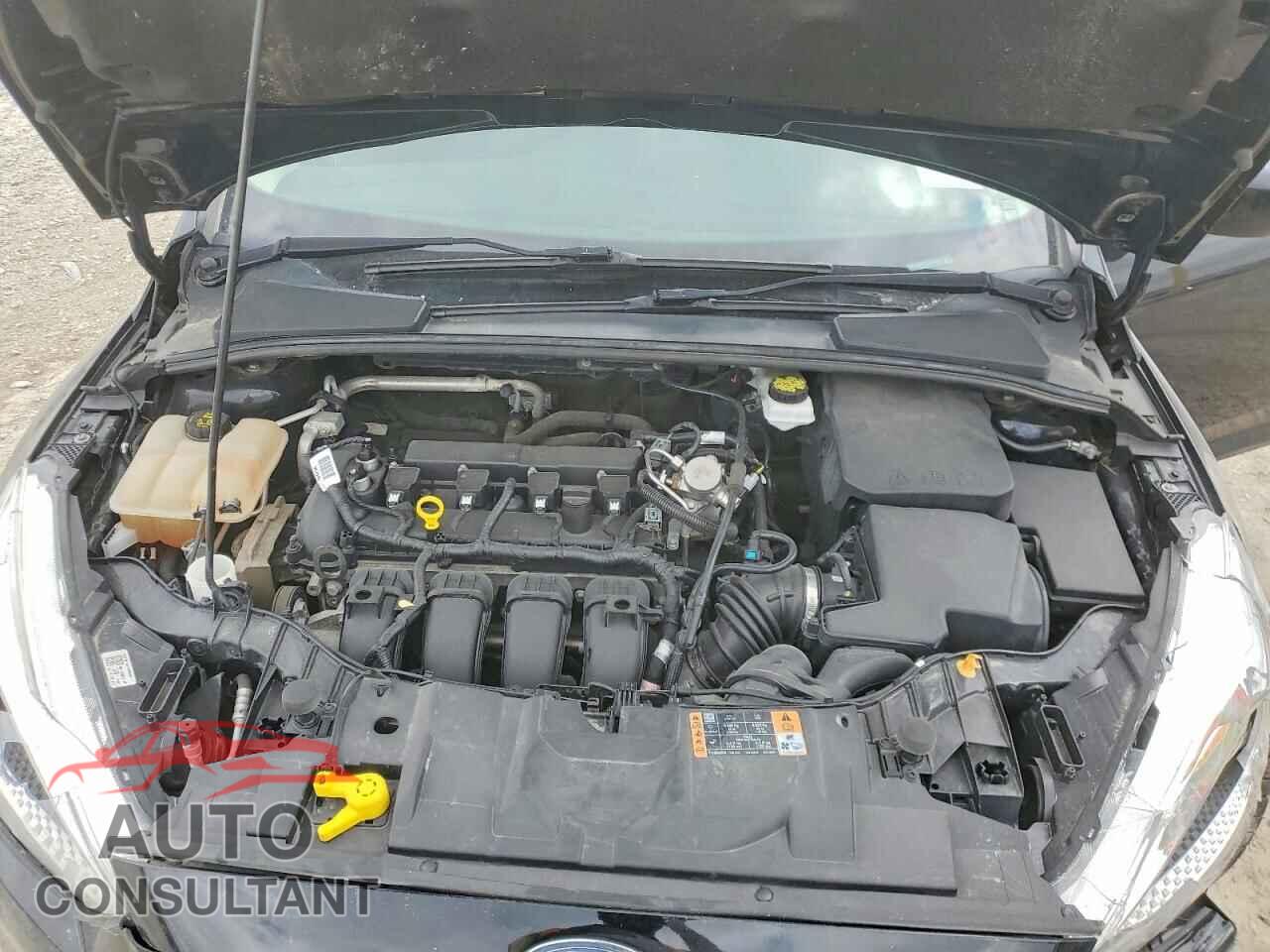 FORD FOCUS 2018 - 1FADP3K2XJL288564