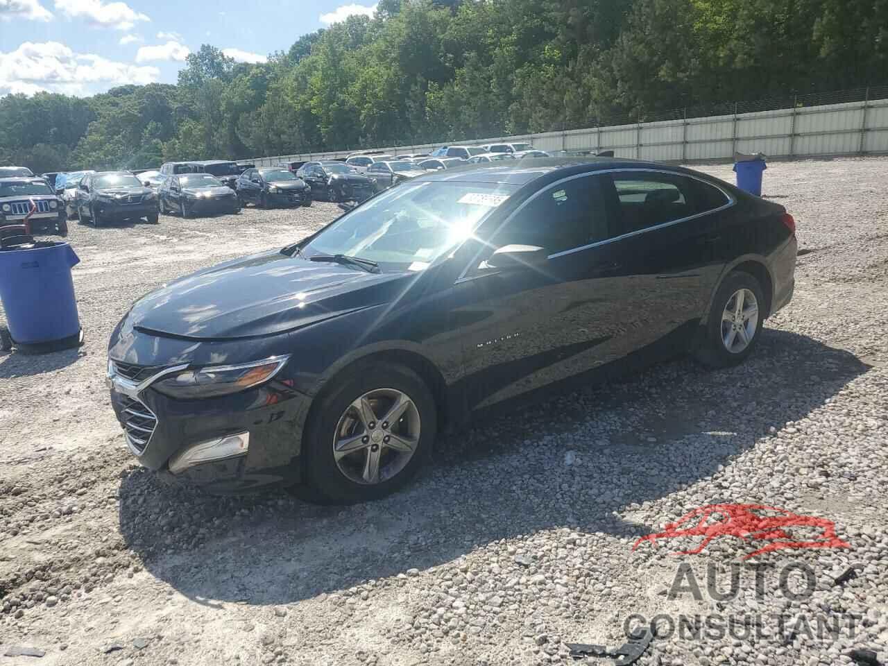 CHEVROLET MALIBU 2019 - 1G1ZB5ST2KF227835