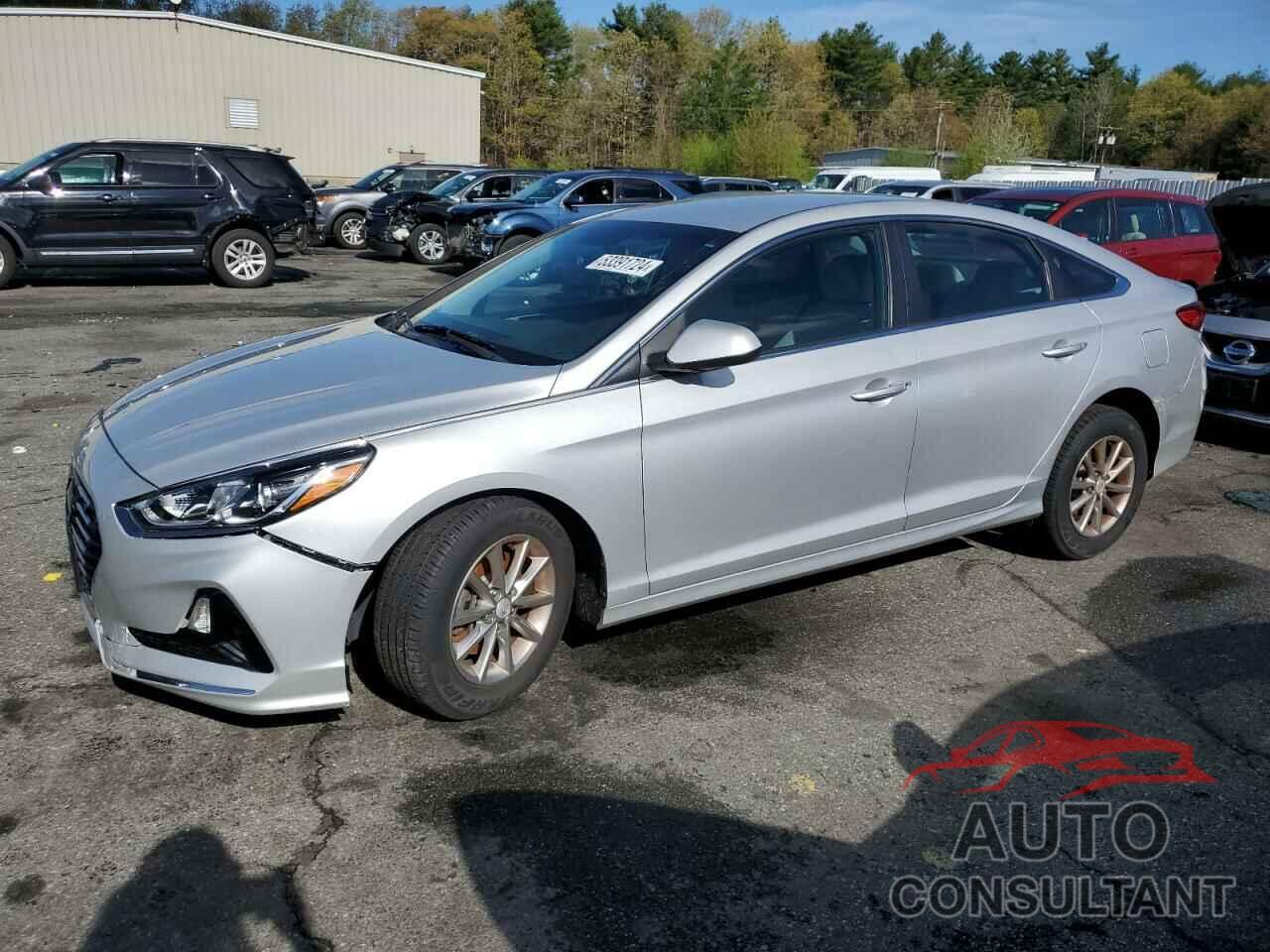 HYUNDAI SONATA 2019 - 5NPE24AF0KH753222