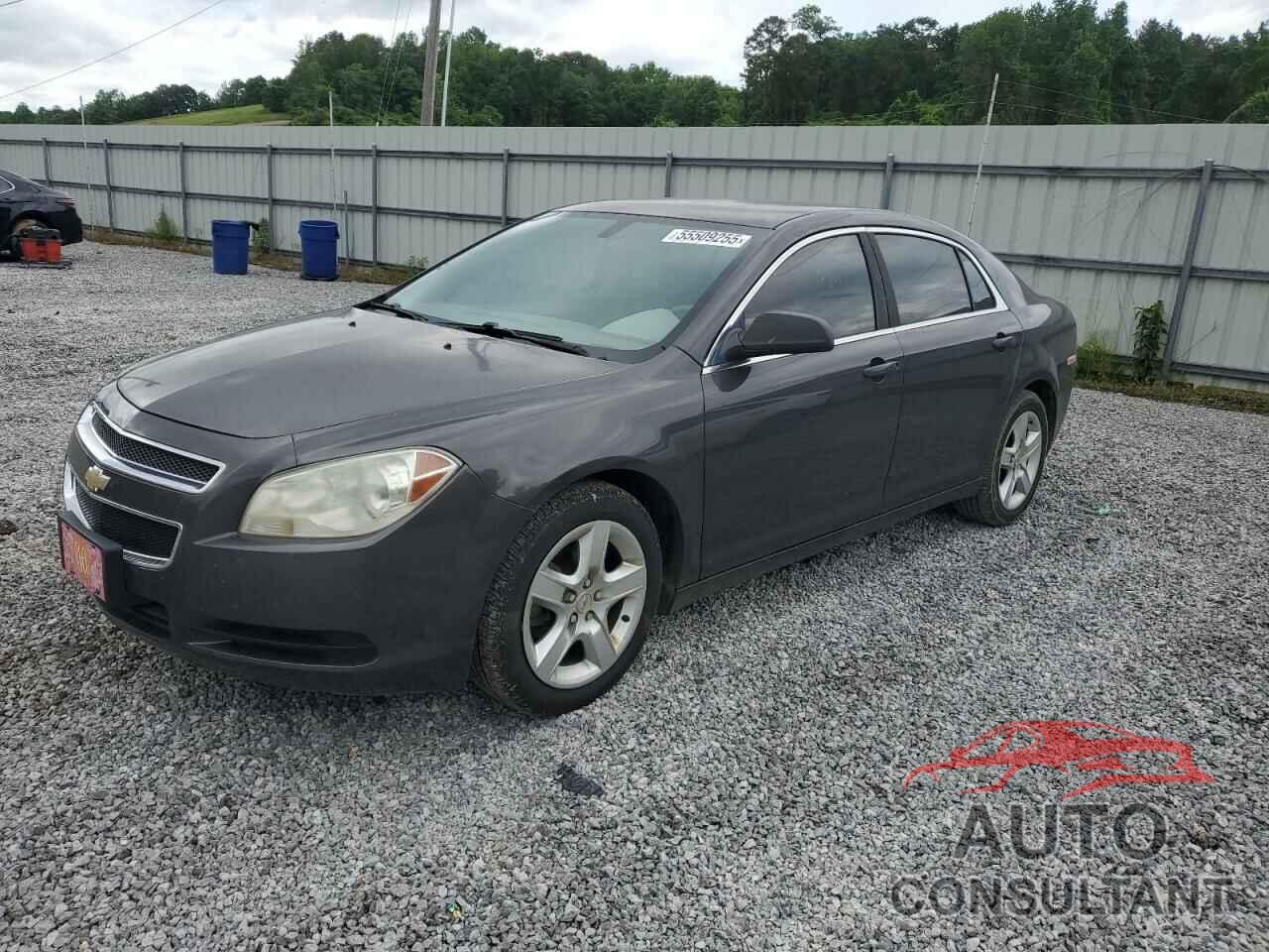CHEVROLET MALIBU 2012 - 1G1ZA5EU9CF355501