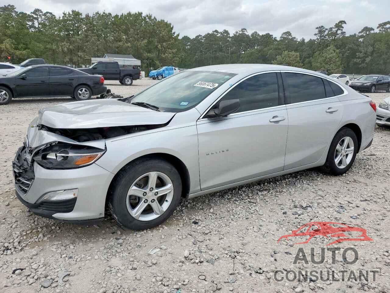 CHEVROLET MALIBU 2019 - 1G1ZB5ST1KF110585
