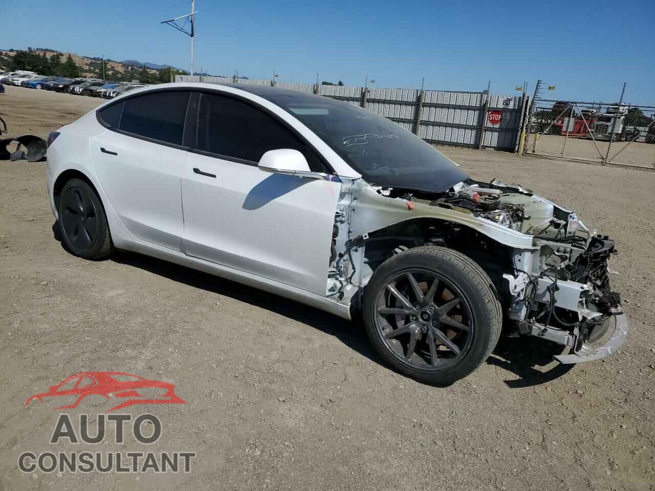 TESLA MODEL 3 2020 - 5YJ3E1EB8LF619174