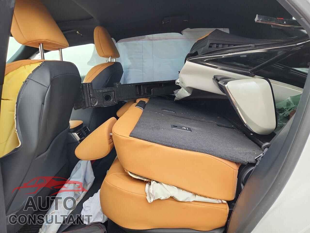 LEXUS UNKNOWN 2024 - 2T2BBMCA1RC024885