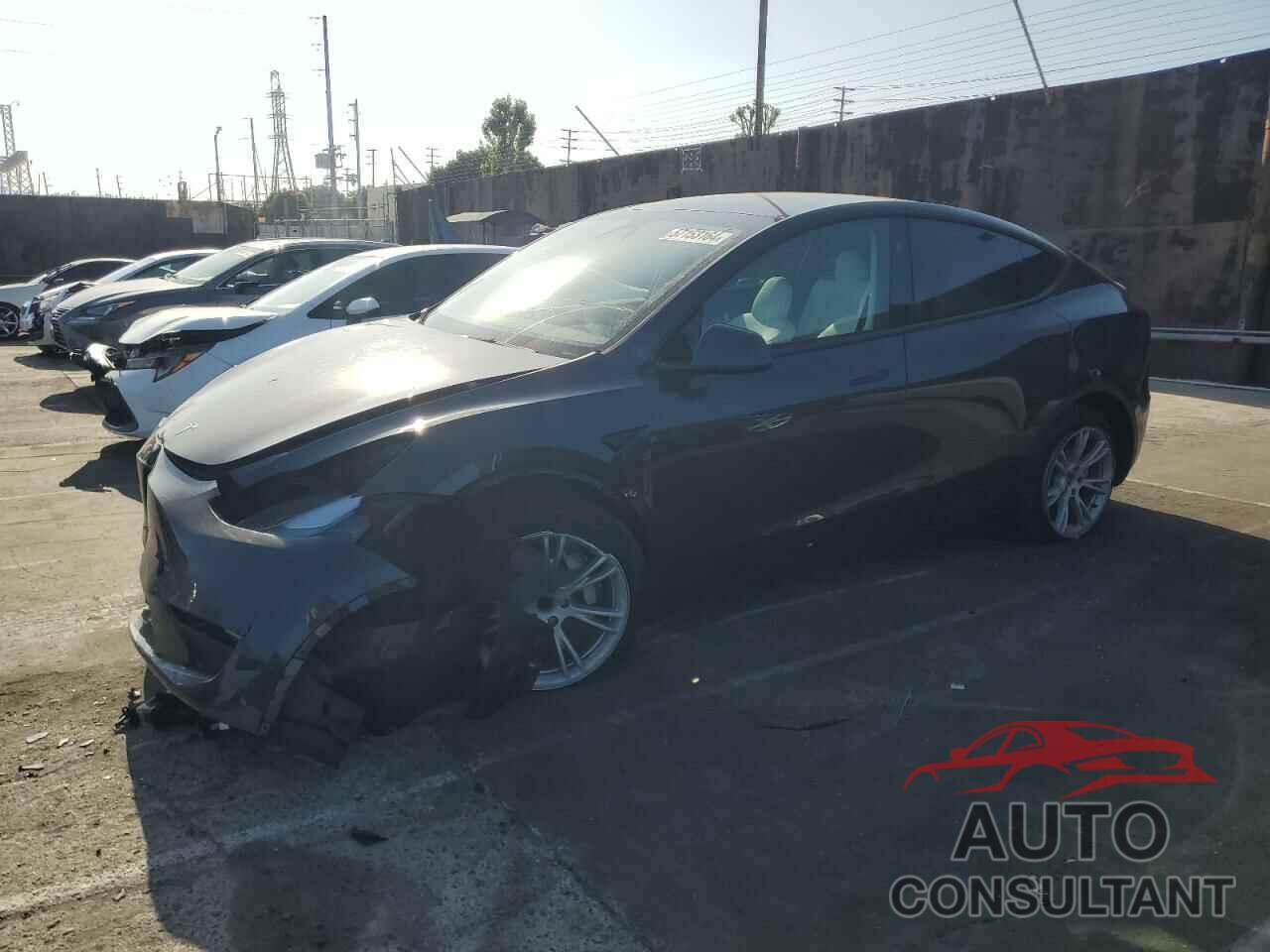 TESLA MODEL Y 2024 - 7SAYGDED4RF051925