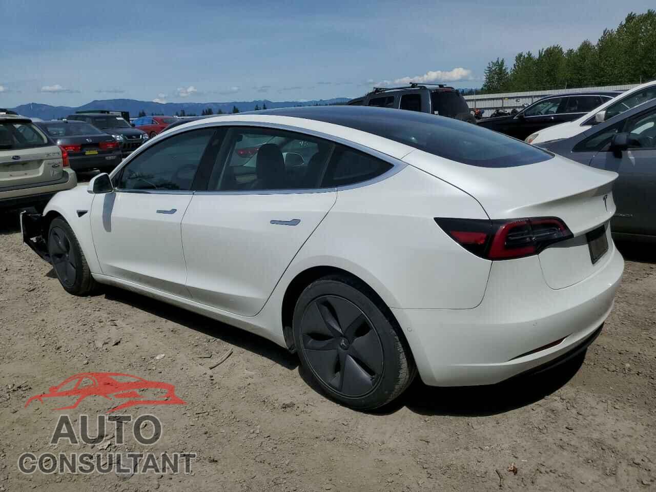TESLA MODEL 3 2019 - 5YJ3E1EA3KF308001