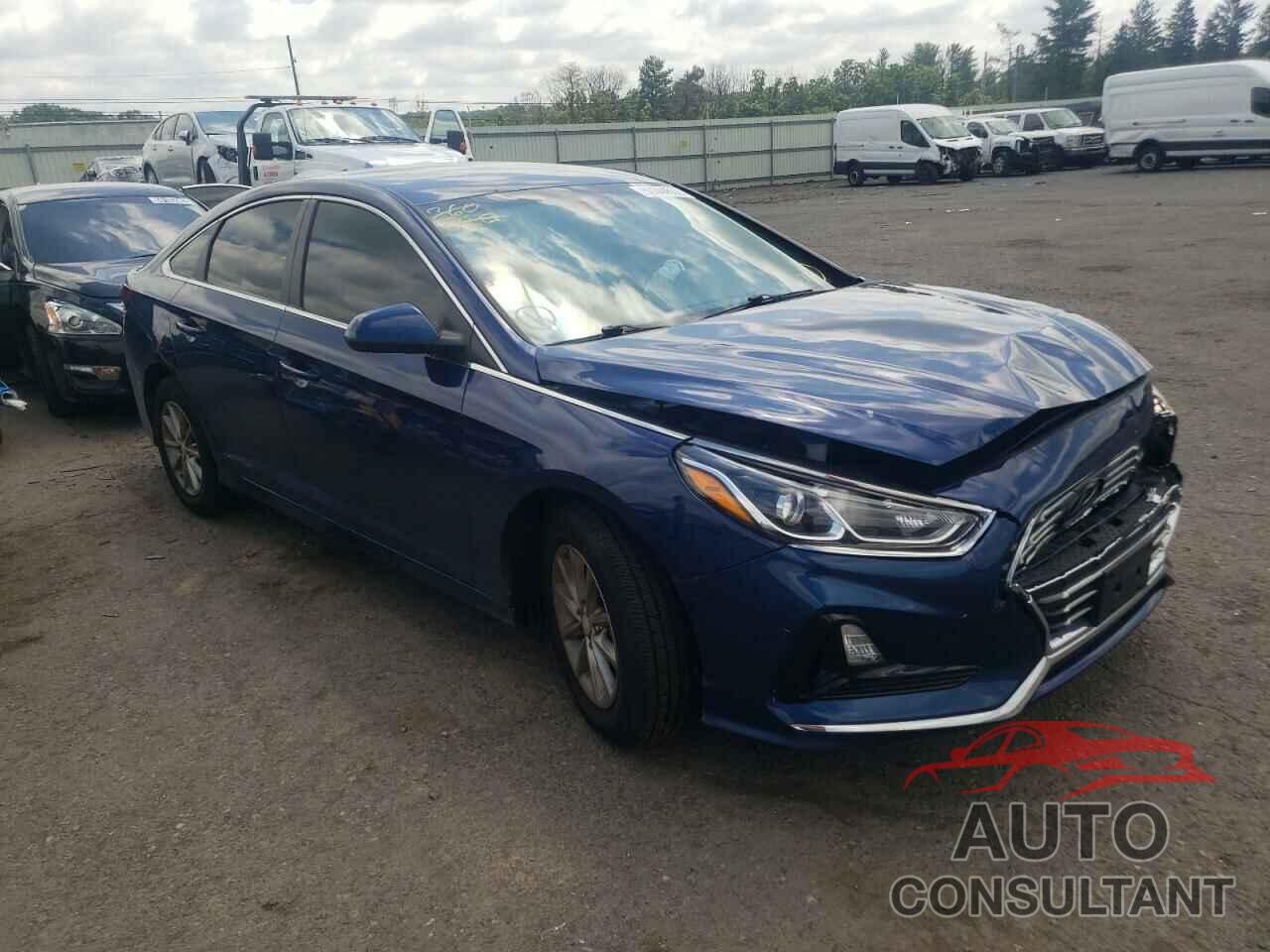 HYUNDAI SONATA 2019 - 5NPE24AF3KH801764