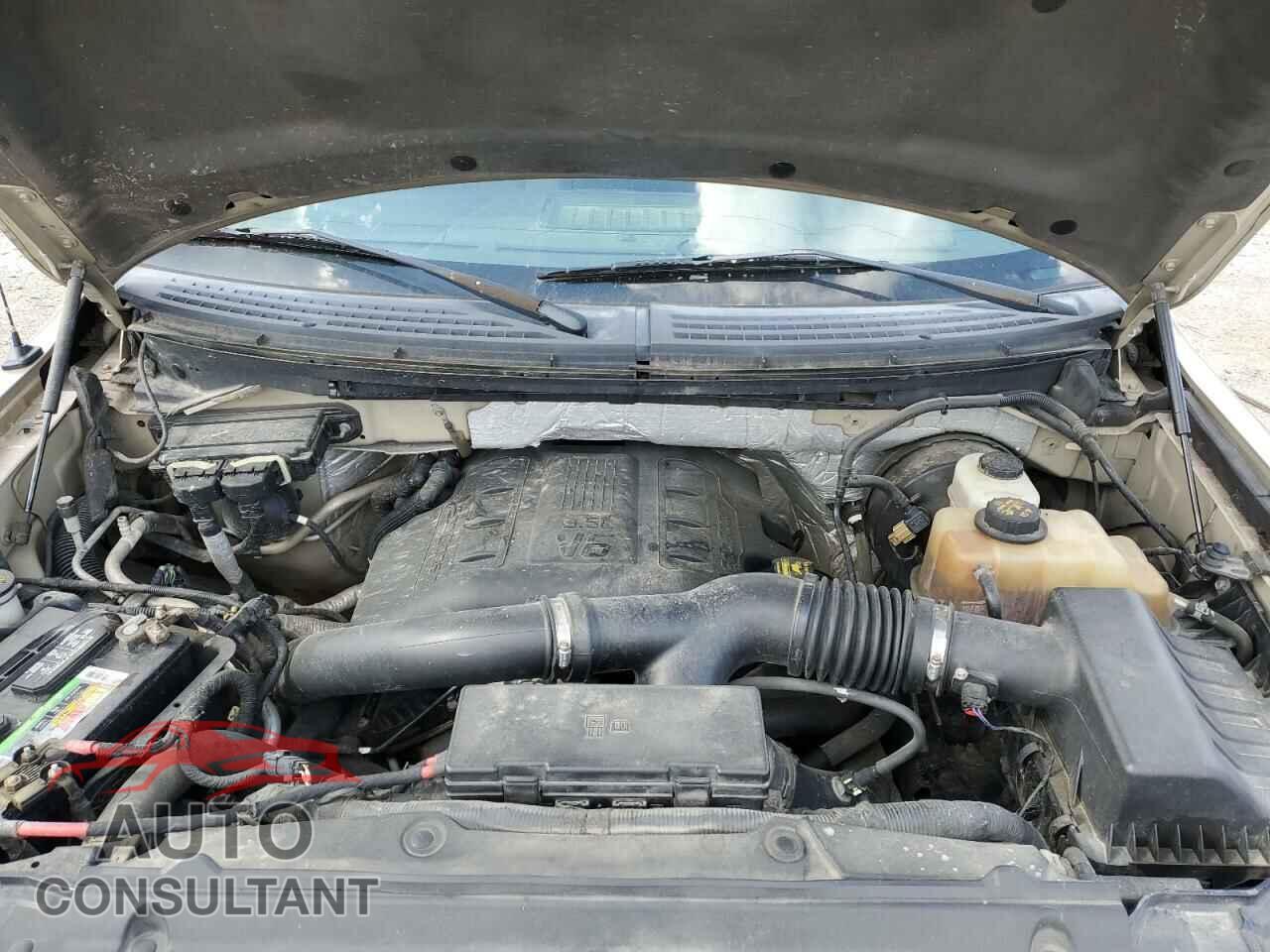 FORD F-150 2011 - 1FTFW1CT6BFB80623