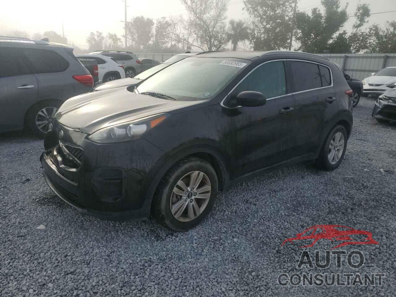 KIA SPORTAGE 2017 - KNDPM3AC1H7295951