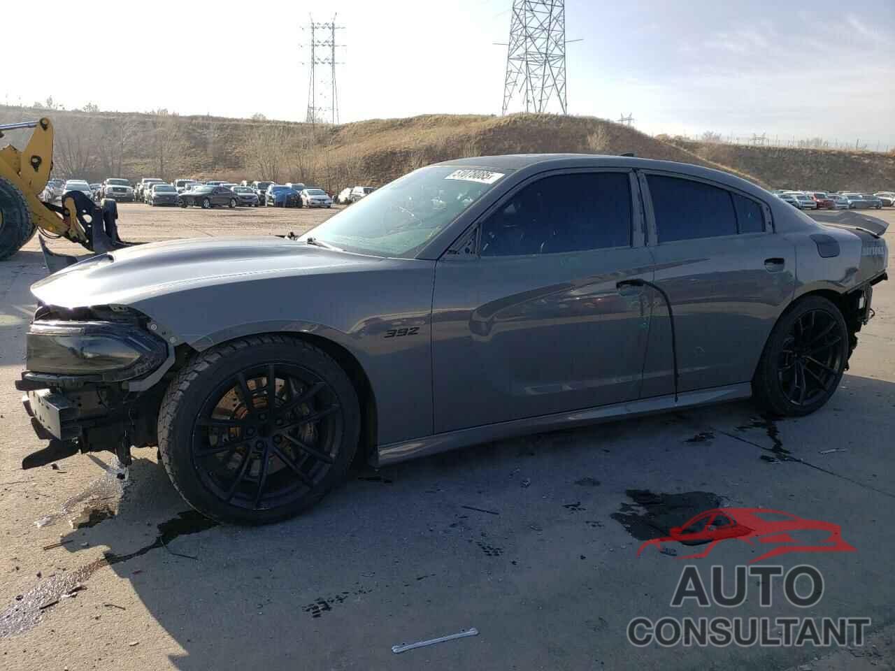 DODGE CHARGER 2019 - 2C3CDXGJ3KH568402