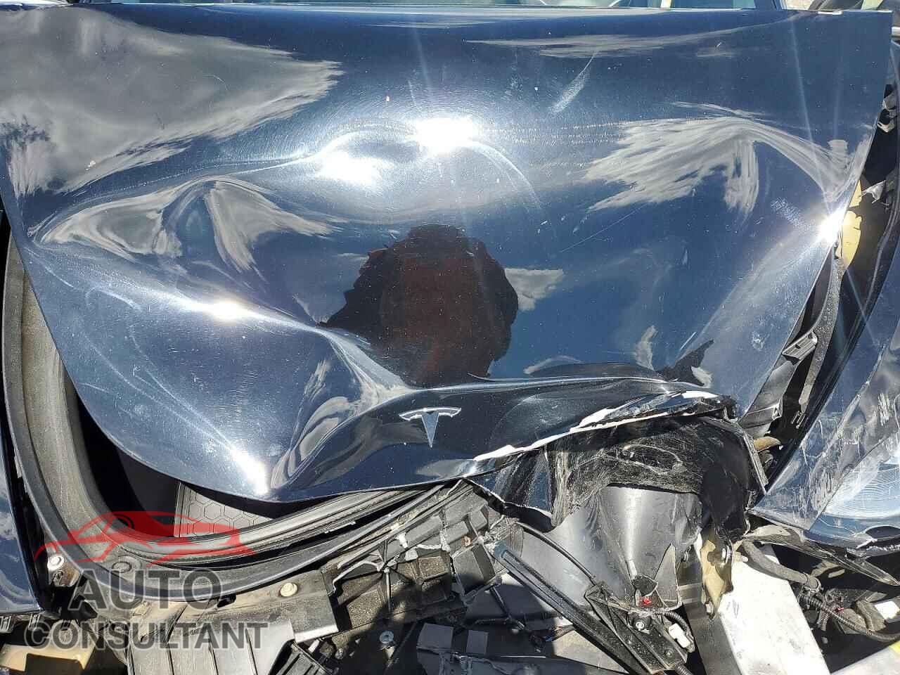 TESLA MODEL 3 2019 - 5YJ3E1EB9KF384542