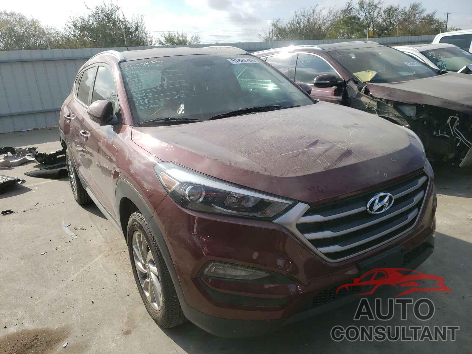 HYUNDAI TUCSON 2017 - KM8J33A42HU486261