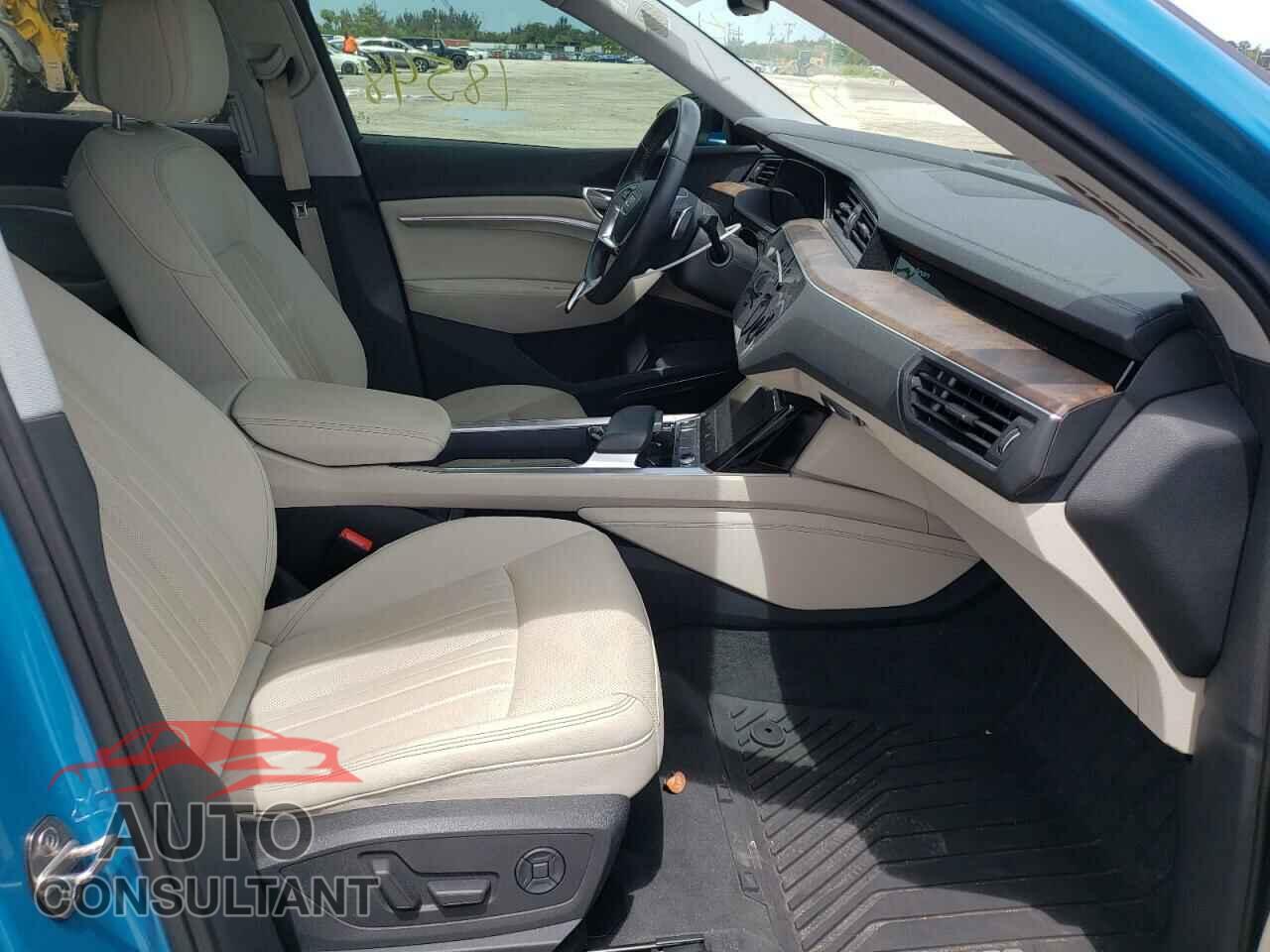 AUDI E-TRON 2019 - WA1LAAGE2KB022018