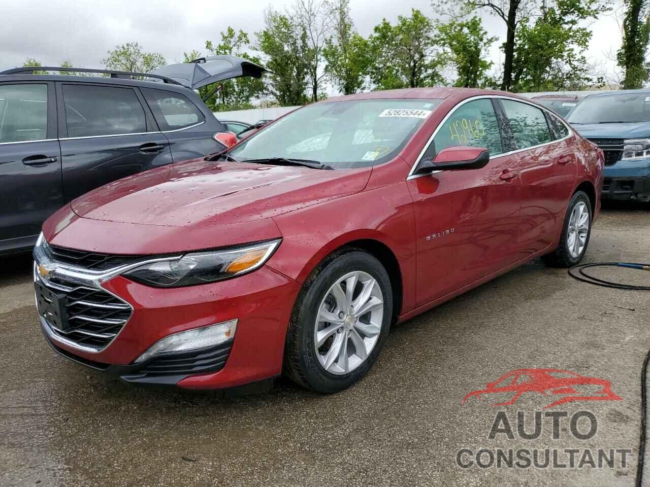 CHEVROLET MALIBU 2019 - 1G1ZD5ST6KF151157