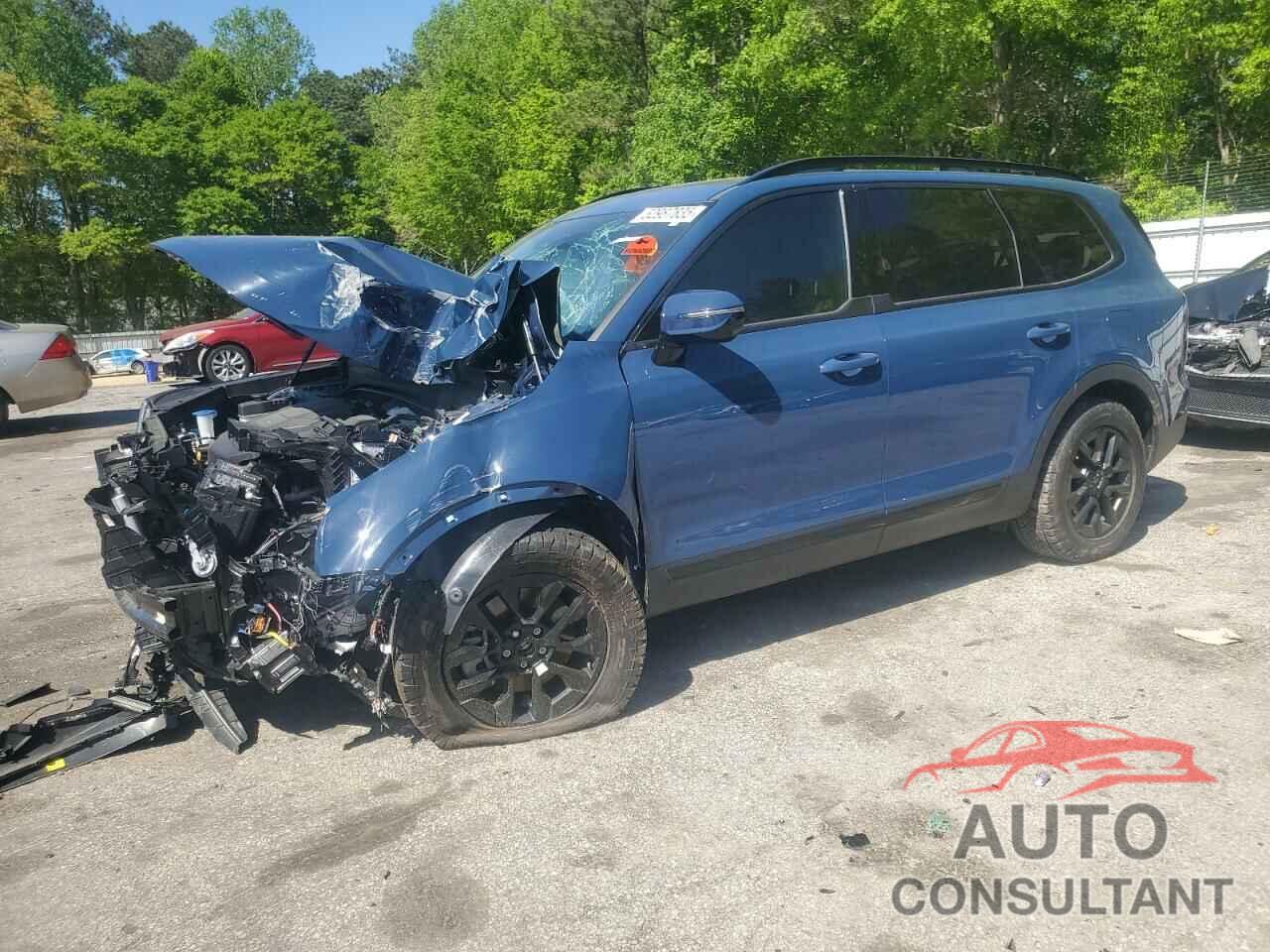KIA TELLURIDE 2024 - 5XYP5DGC1RG439447