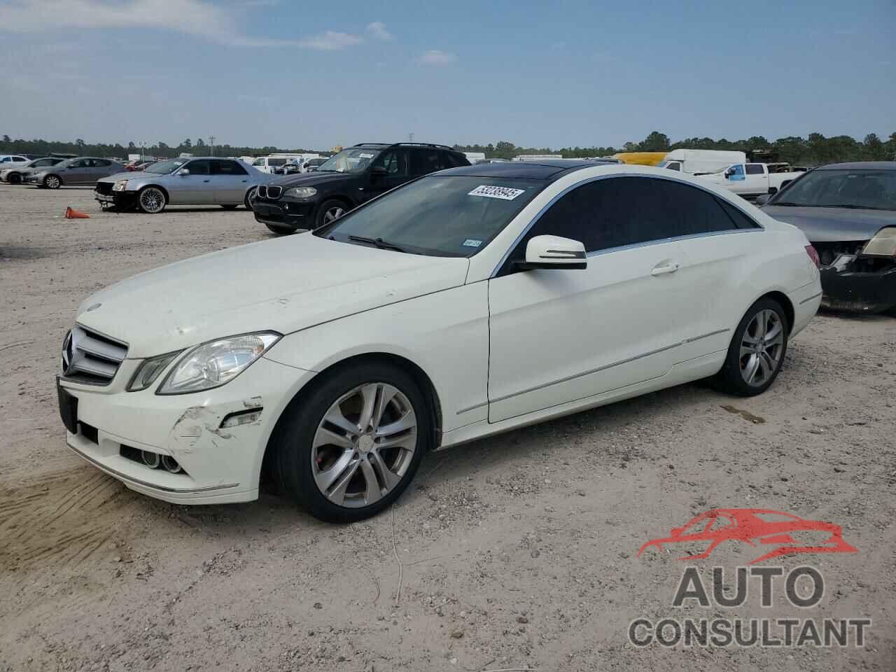 MERCEDES-BENZ E-CLASS 2010 - WDDKJ5GBXAF057529
