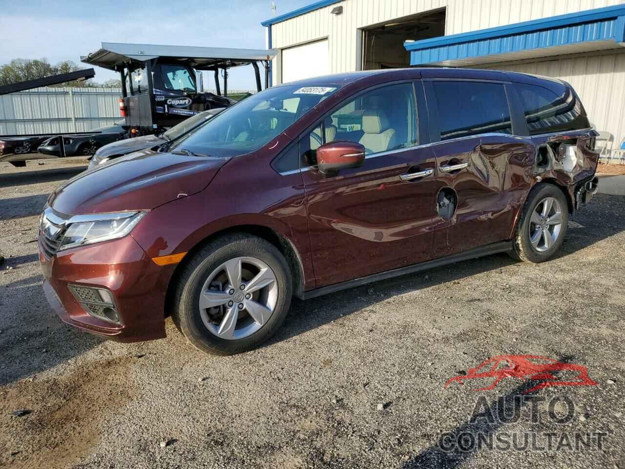 HONDA All Models 2019 - 5FNRL6H54KB033752