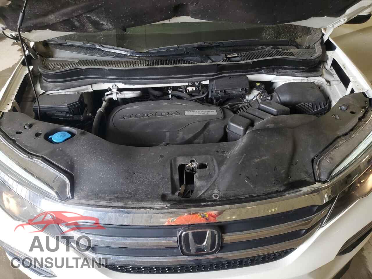 HONDA PILOT 2018 - 5FNYF6H6XJB032602