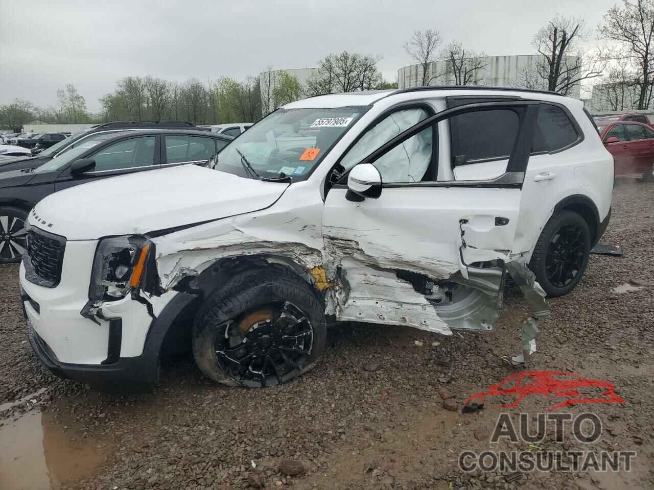 KIA TELLURIDE 2021 - 5XYP5DHC4MG152322