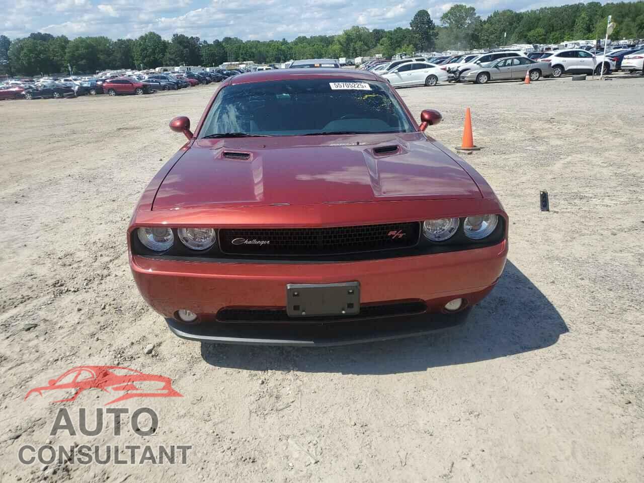DODGE CHALLENGER 2014 - 2C3CDYBT9EH310565