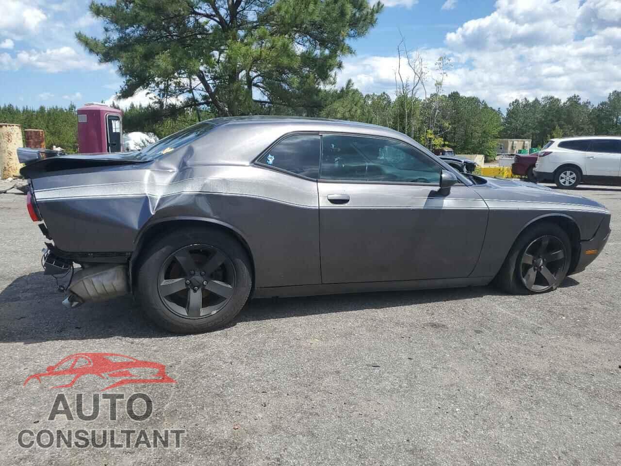 DODGE CHALLENGER 2013 - 2C3CDYAG3DH601047