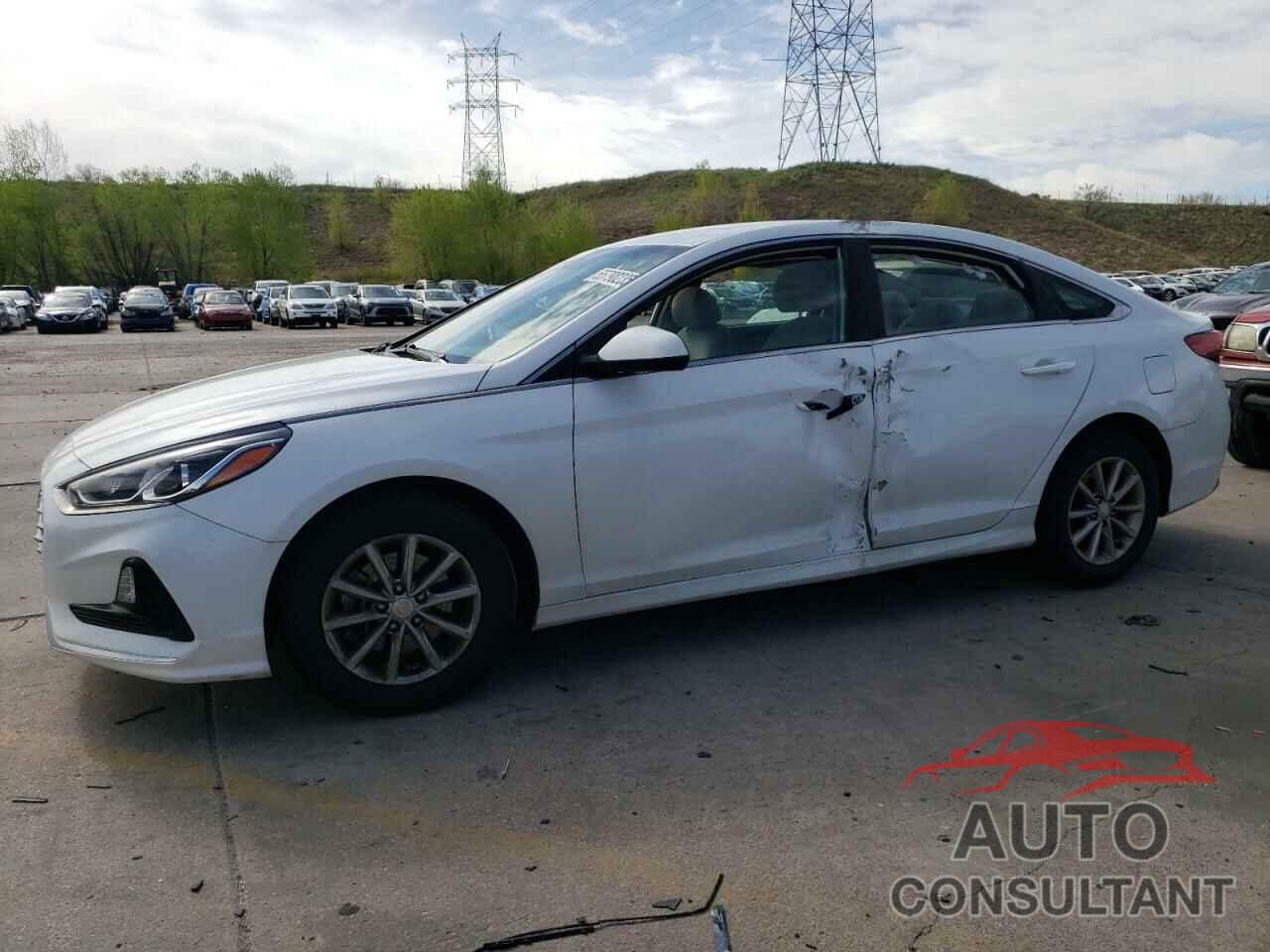 HYUNDAI SONATA 2019 - 5NPE24AF1KH792210