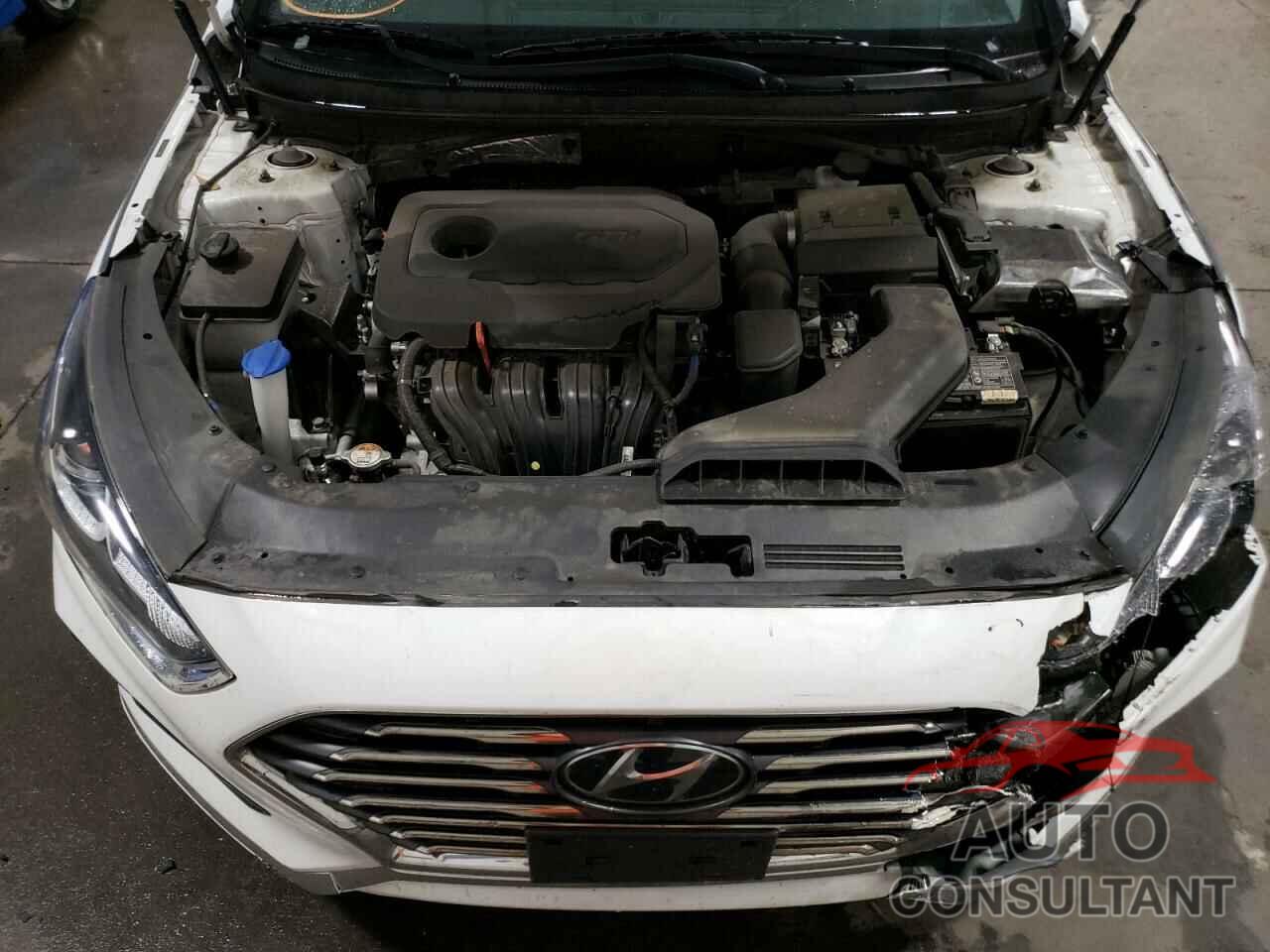 HYUNDAI SONATA 2019 - 5NPE24AF8KH775890