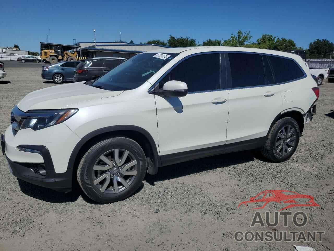 HONDA PILOT 2019 - 5FNYF6H55KB080095