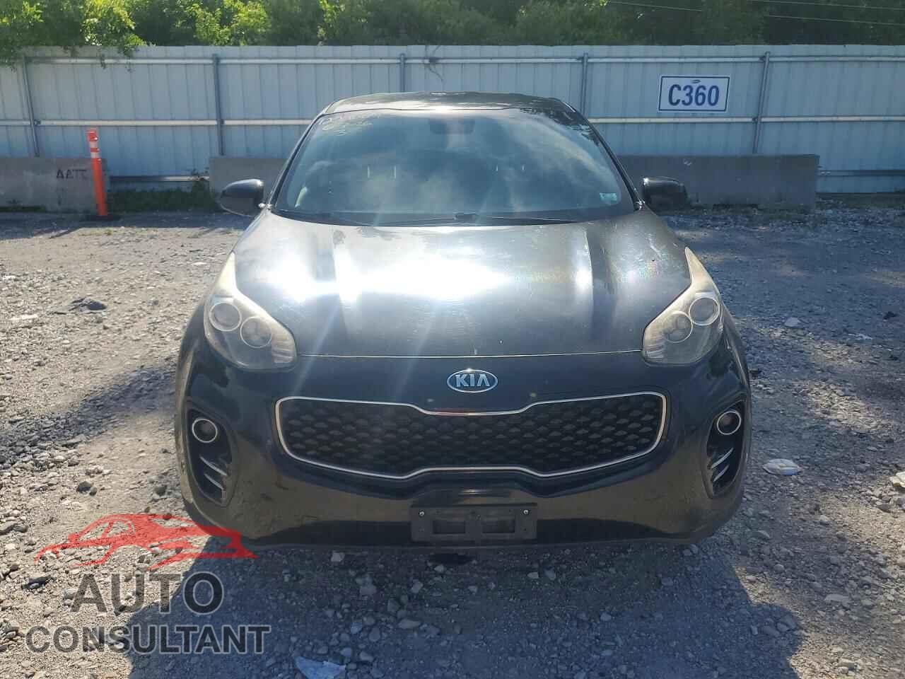 KIA SPORTAGE 2017 - KNDPMCAC6H7243473