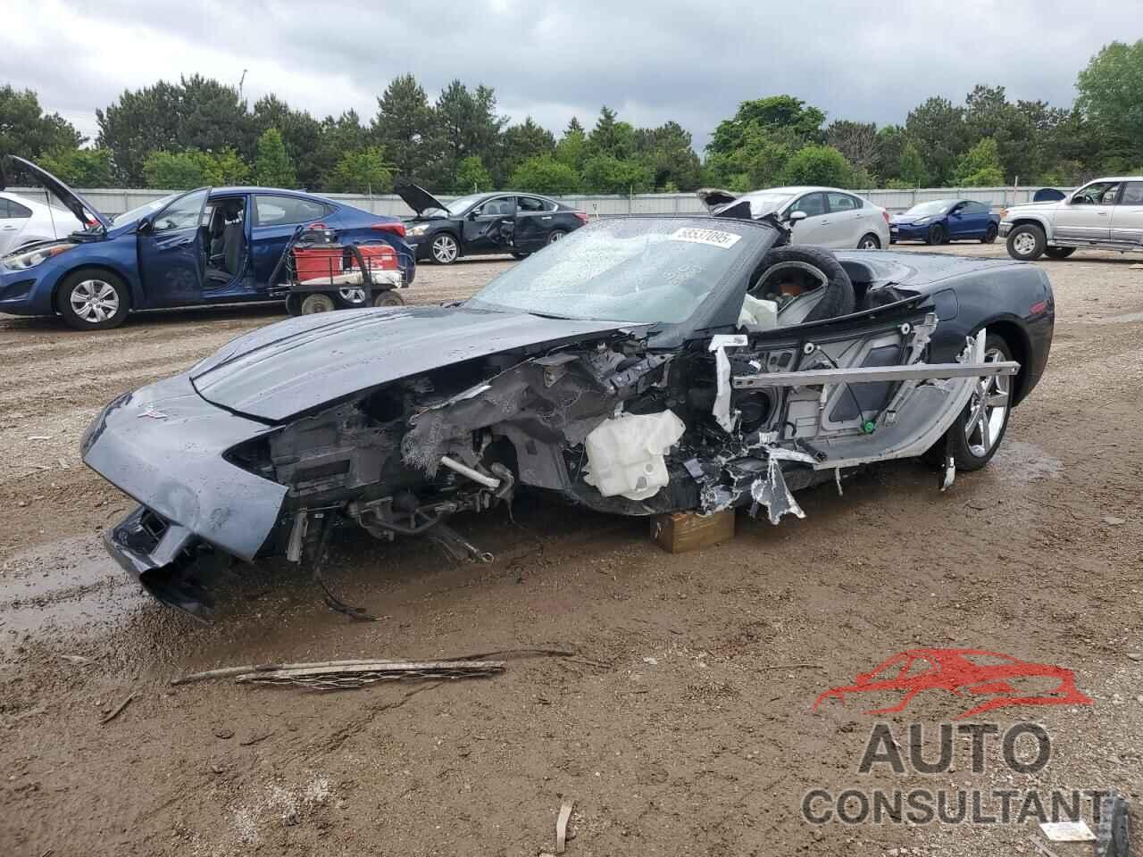 CHEVROLET CORVETTE 2009 - 1G1YY36W795105166