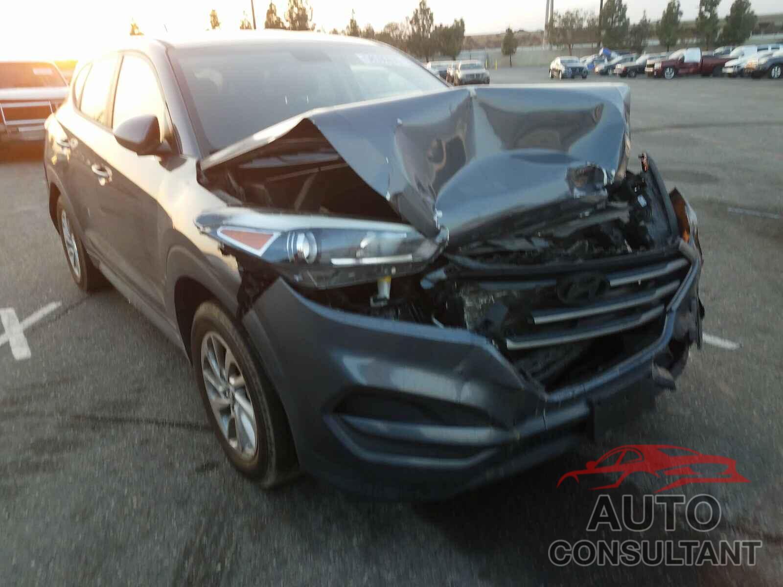 HYUNDAI TUCSON 2016 - KM8J23A46GU182688
