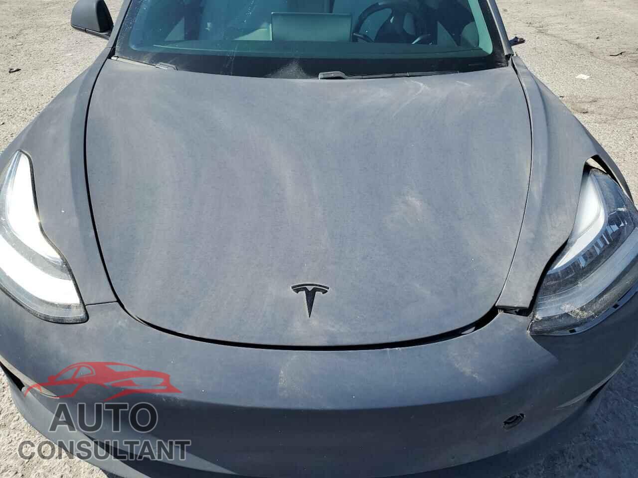 TESLA MODEL 3 2019 - 5YJ3E1EB3KF413792