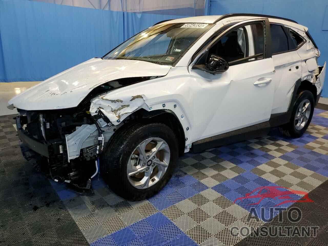 HYUNDAI TUCSON 2024 - 5NMJBCDE6RH326694