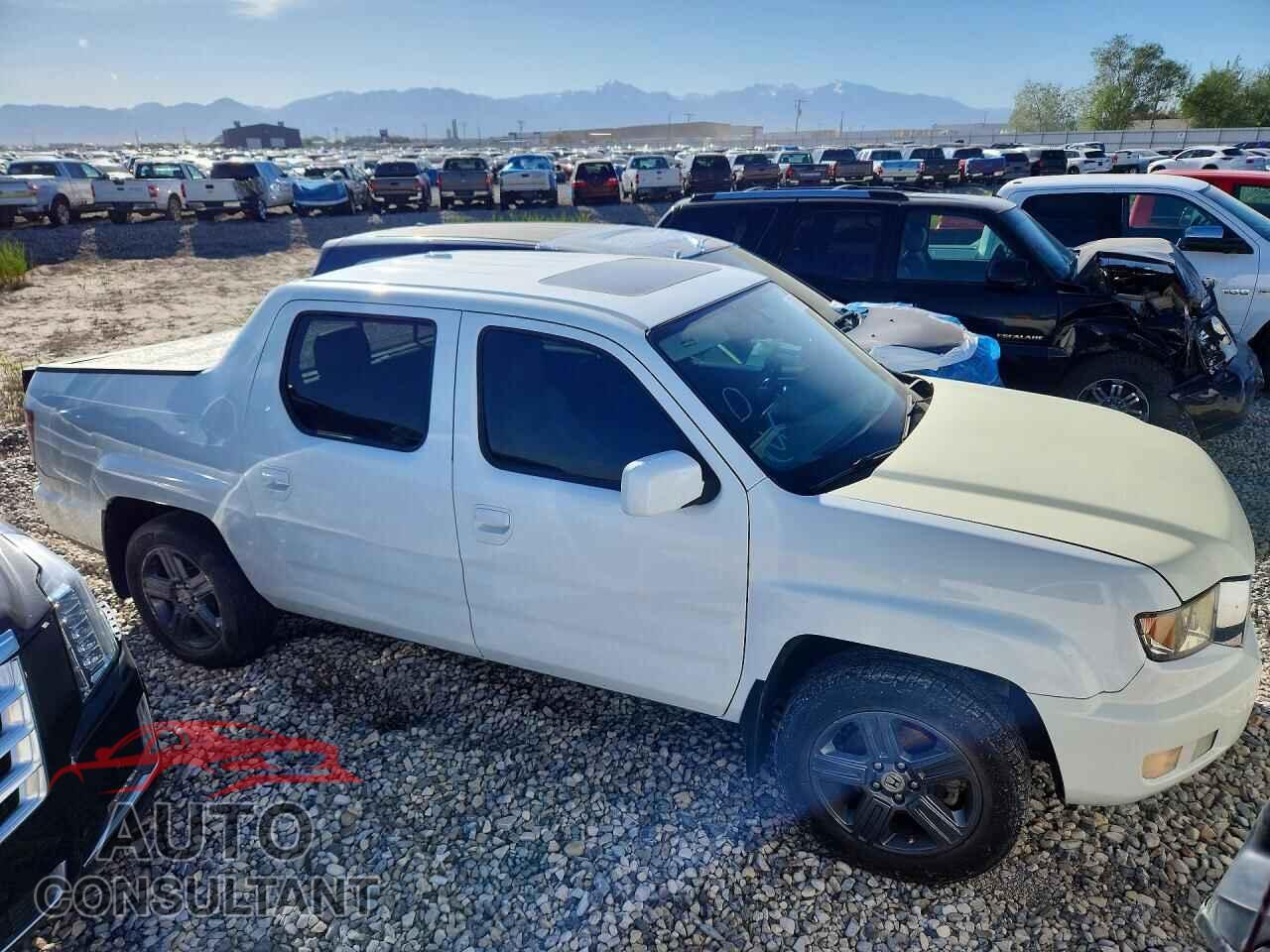 HONDA RIDGELINE 2013 - 5FPYK1F51DB012534