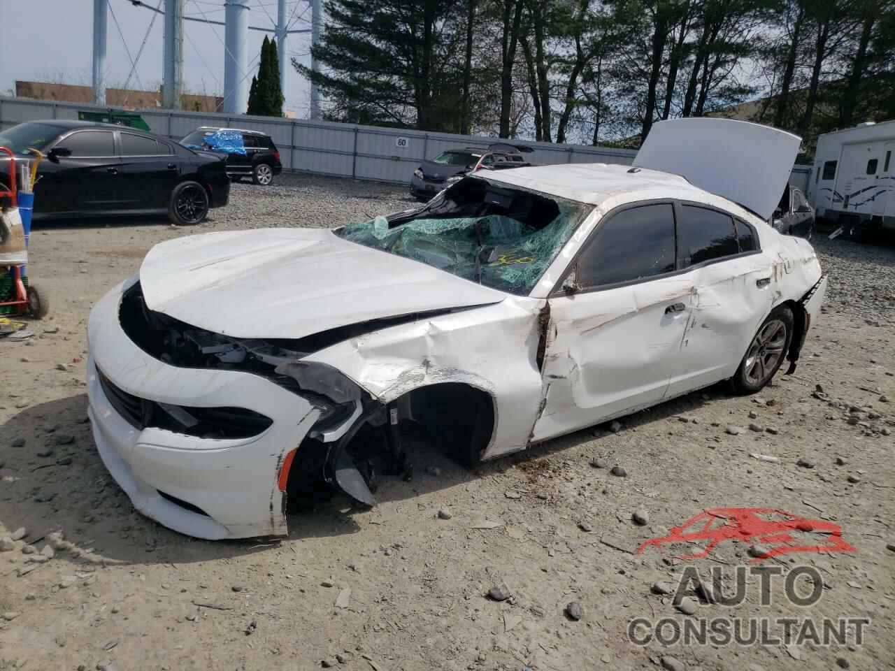 DODGE CHARGER 2019 - 2C3CDXBG3KH505022