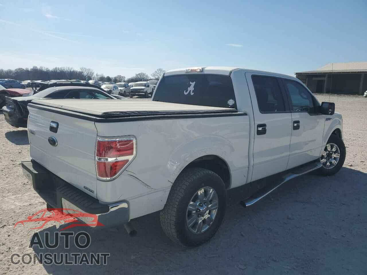 FORD F-150 2011 - 1FTEW1CM2BFC84689
