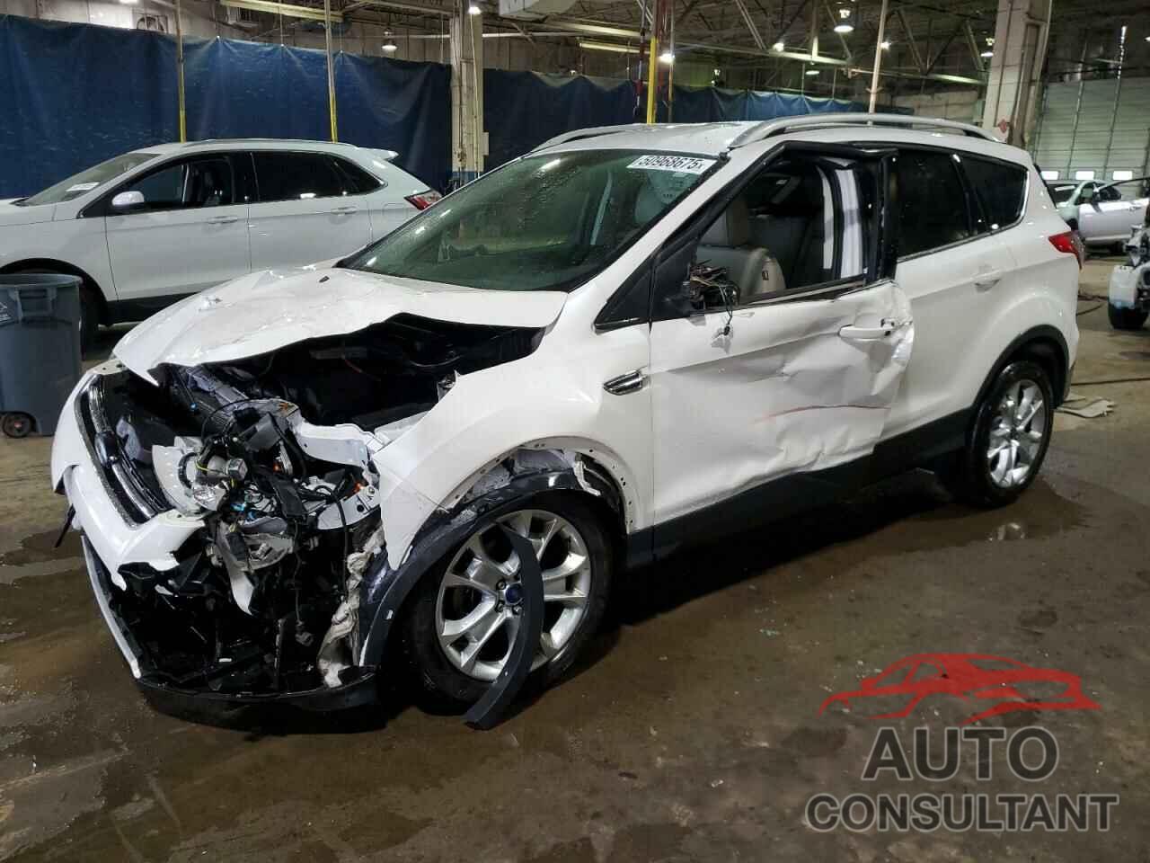 FORD ESCAPE 2014 - 1FMCU0JX2EUE10694