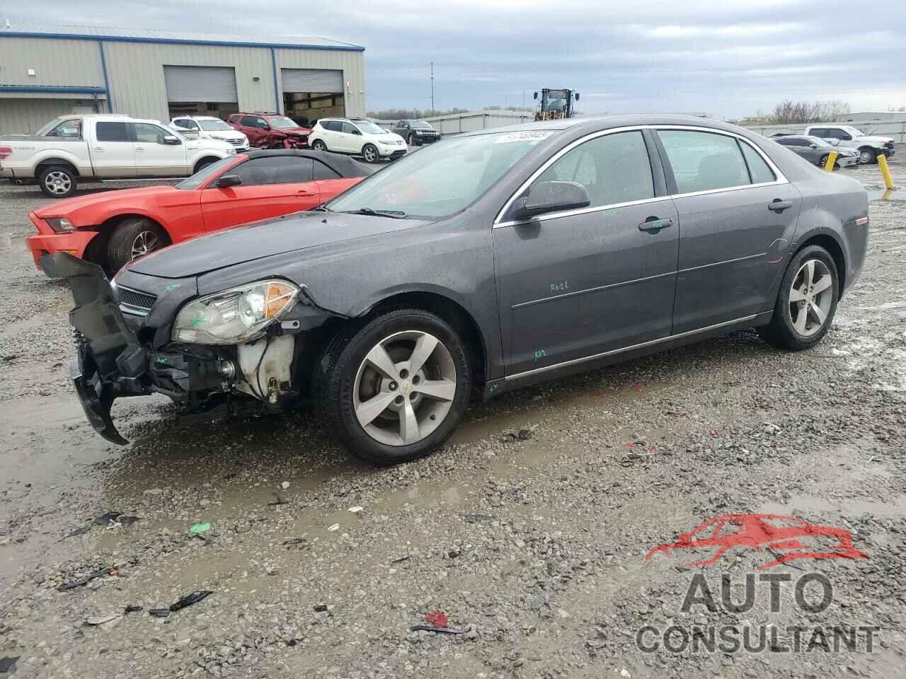 CHEVROLET MALIBU 2011 - 1G1ZC5EU4BF290498