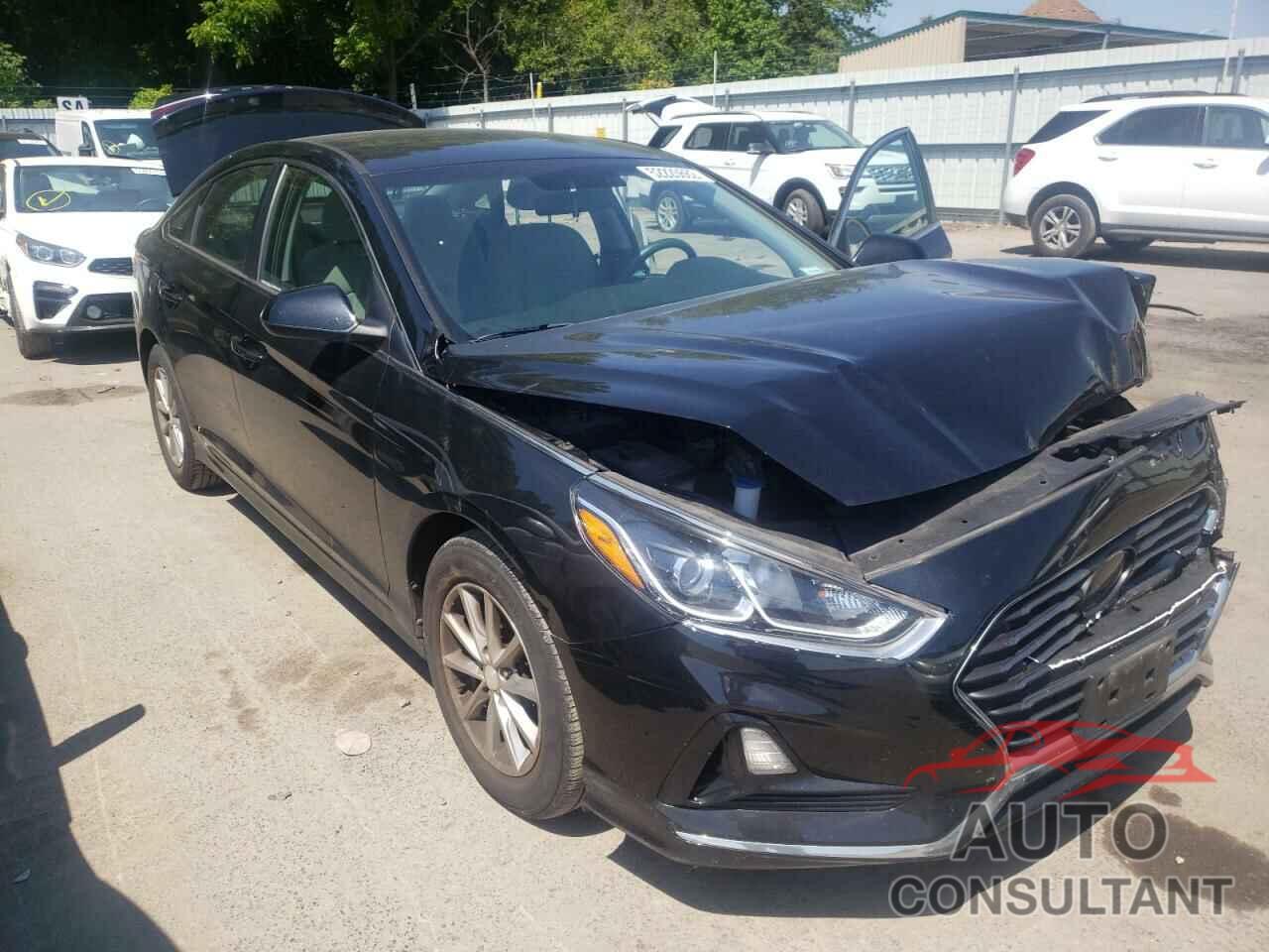 HYUNDAI SONATA 2018 - 5NPE24AF4JH679656