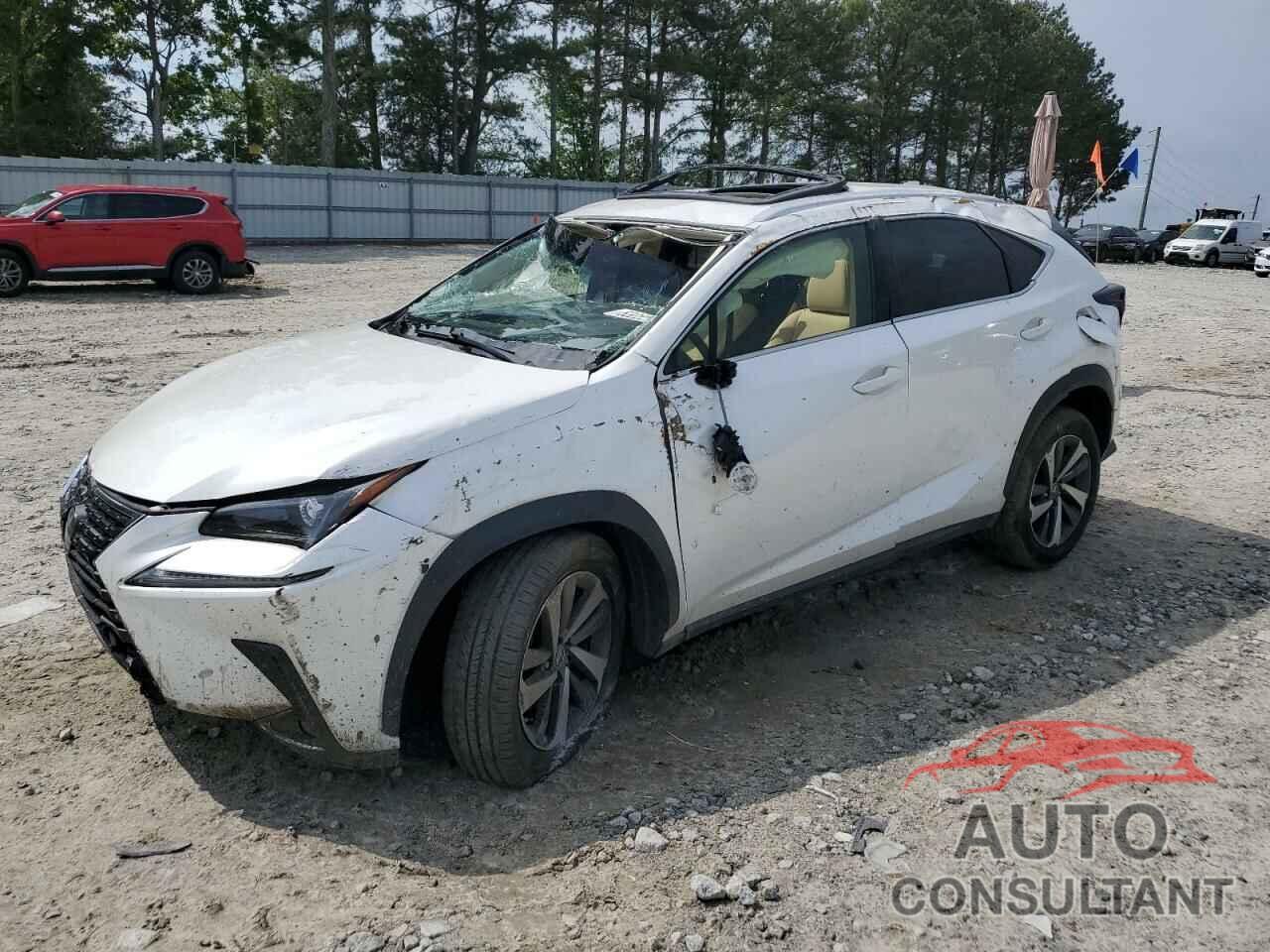 LEXUS NX 2019 - JTJYARBZ8K2127597