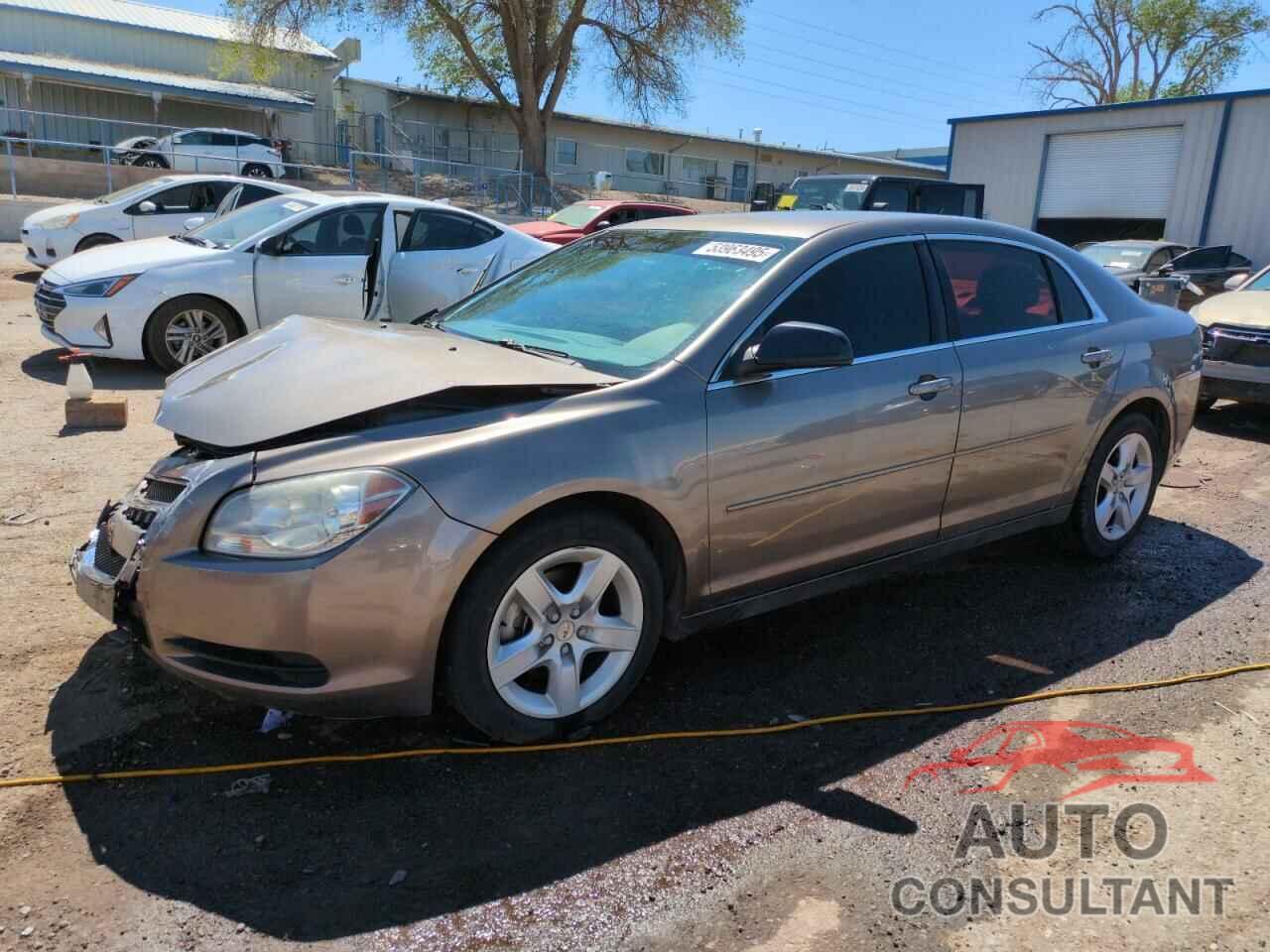 CHEVROLET MALIBU 2010 - 1G1ZB5EB8AF317721