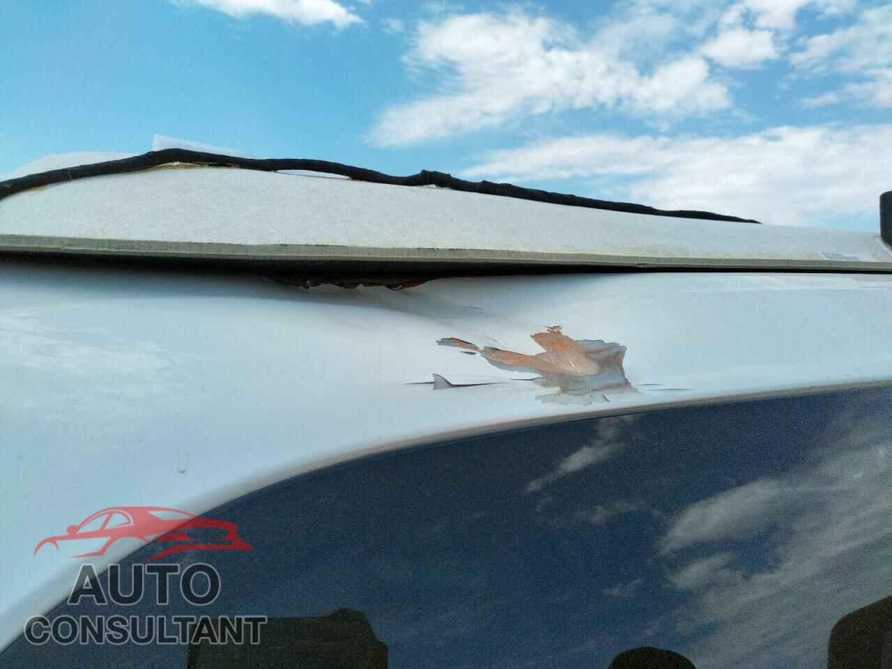 DODGE DURANGO 2020 - 1C4RDJDG1LC285965