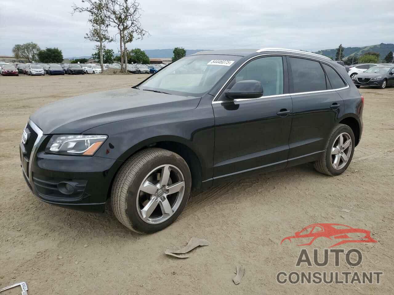 AUDI Q5 2010 - WA1LKAFP6AA095560