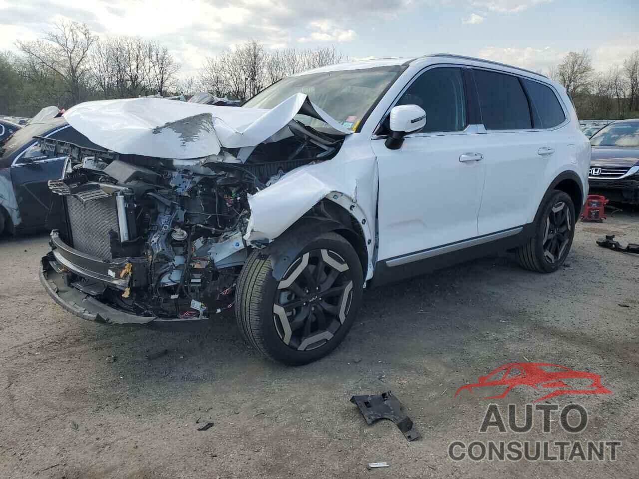 KIA TELLURIDE 2023 - 5XYP6DGC0PG384872