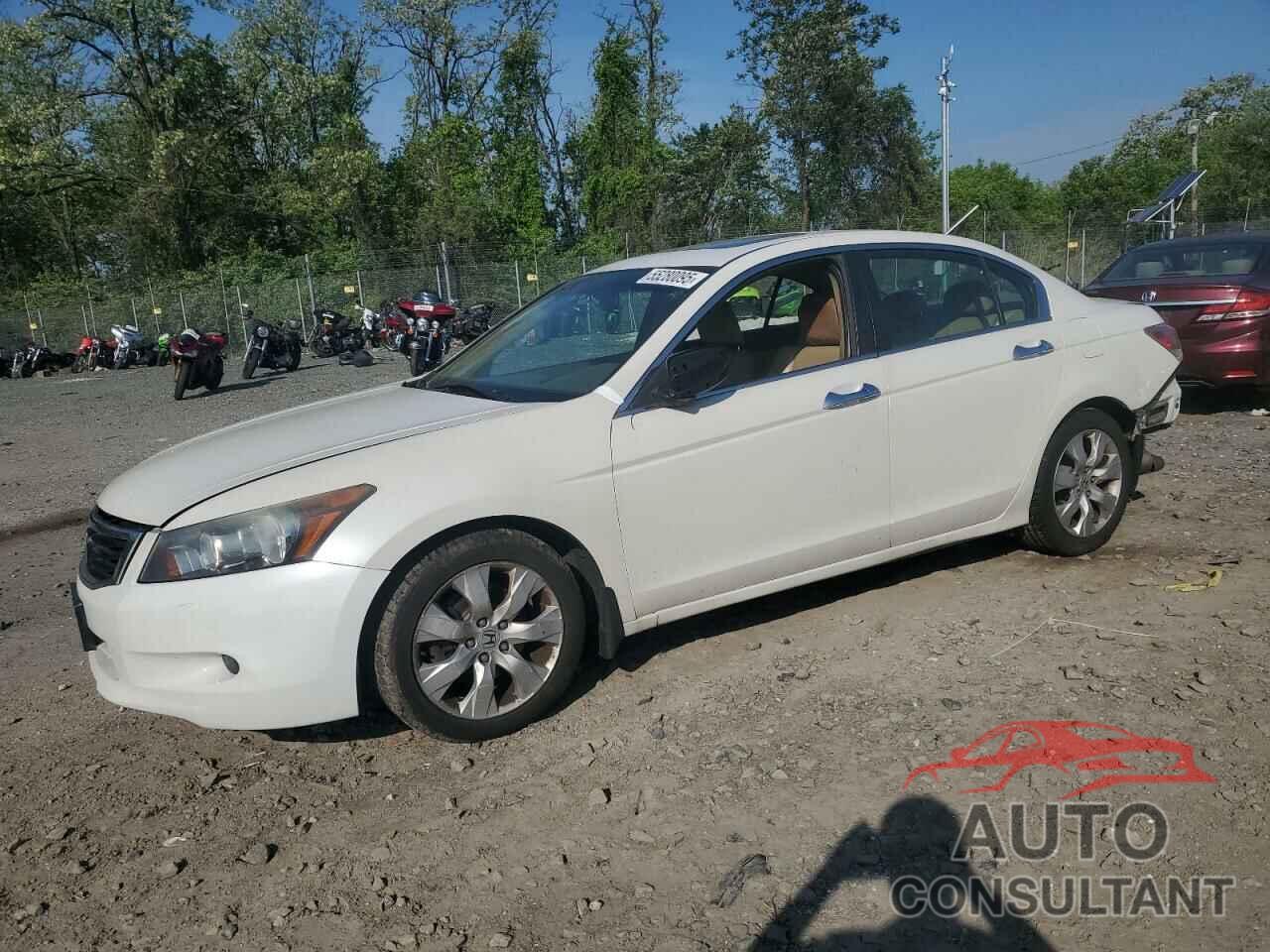 HONDA ACCORD 2010 - 5KBCP3F85AB010115