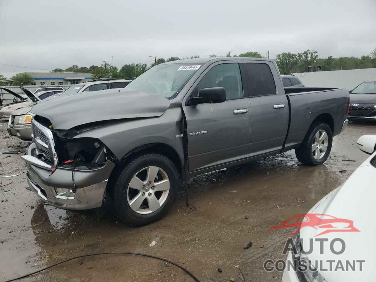 DODGE All Models 2010 - 1D7RV1GT3AS116139