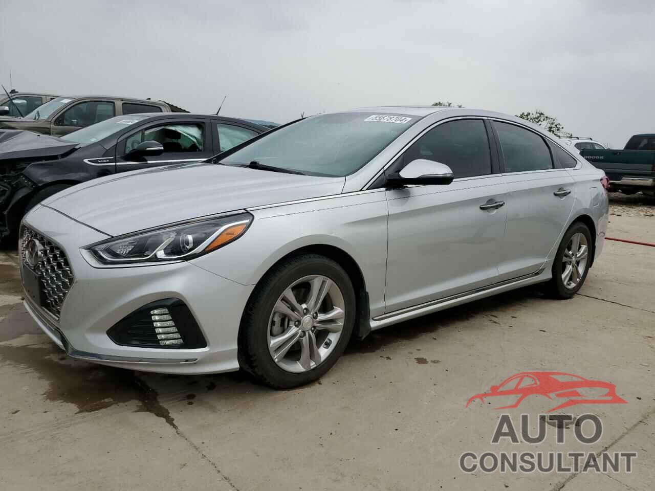 HYUNDAI SONATA 2019 - 5NPE34AFXKH791831