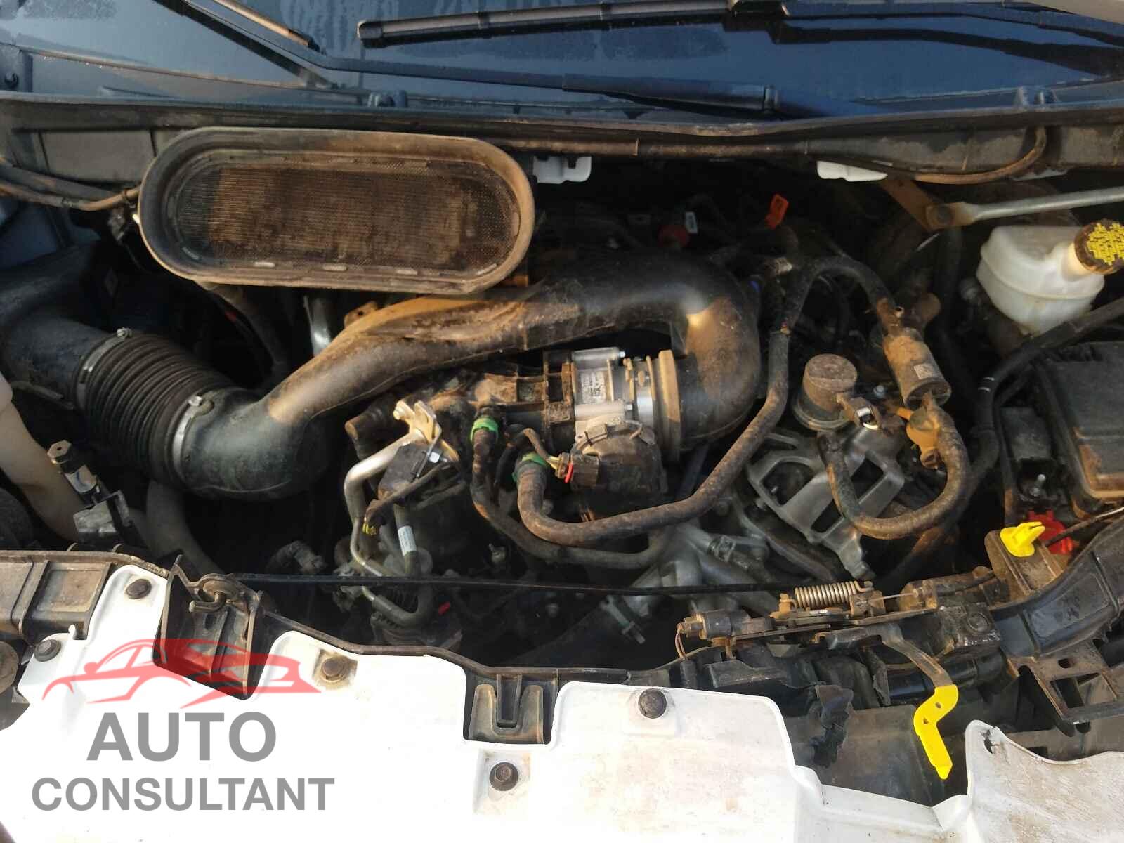 FORD TRANSIT CO 2020 - 1FTRS4X83LKB25748